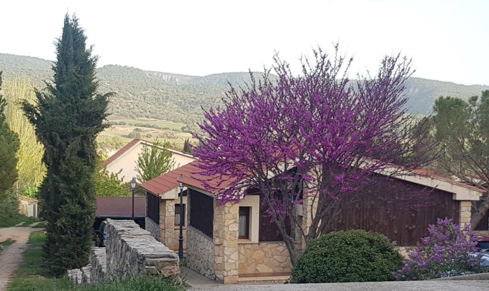 Aventura & Relax Cabanas Pena La Higuera Villalba de la Sierra Extérieur photo
